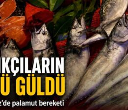 Balıkçıların yüzü güldü: Karadeniz’de palamut bereketi