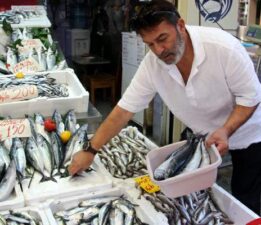 Palamut bolluğu tezgahlara yansıdı: 600 gram balık 100 lira