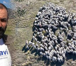 150 bin lira maaşa rağmen çoban sıkıntısı çözülemedi