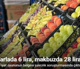 Tarlada 6 lira, makbuzda 28 lira: Fiyat oyununun belgesi savcılık soruşturmasında çıktı