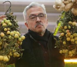 İki yılda bir yetişiyor, bu meyve sipariş üzerine satılıyor