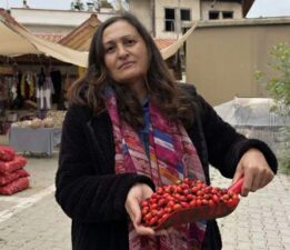 Kuşburnu bereketi fiyatları yarıya düşürdü