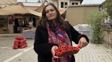 Kuşburnu bereketi fiyatları yarıya düşürdü