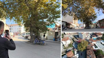 Bir zamanlar darağacı olarak kullanıldığı rivayet edilen çınar, ilçenin simgesi oldu