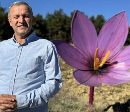 “Dünyanın en pahalı baharatı” safran 800 bin liradan satılacak