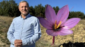 “Dünyanın en pahalı baharatı” safran 800 bin liradan satılacak