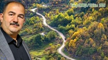 ORMANIN SERVETİ VAR, KÖYLÜNÜN YOLU NEDEN YOK?